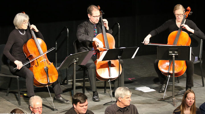 Adult Cello performance 