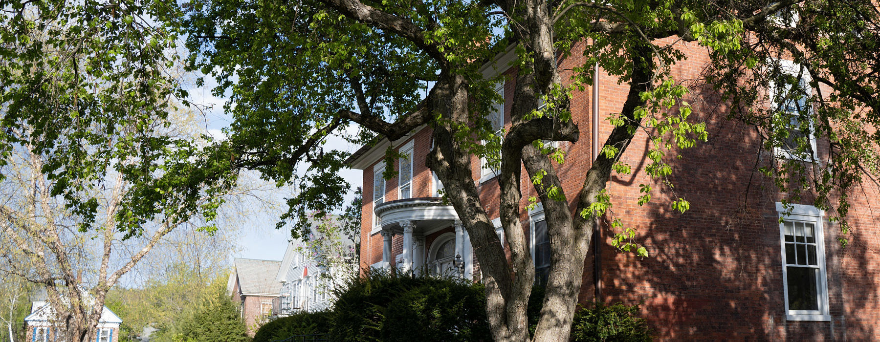 8 South Park Street