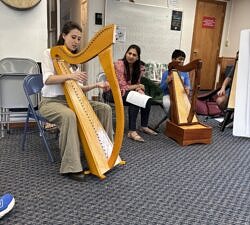 harps